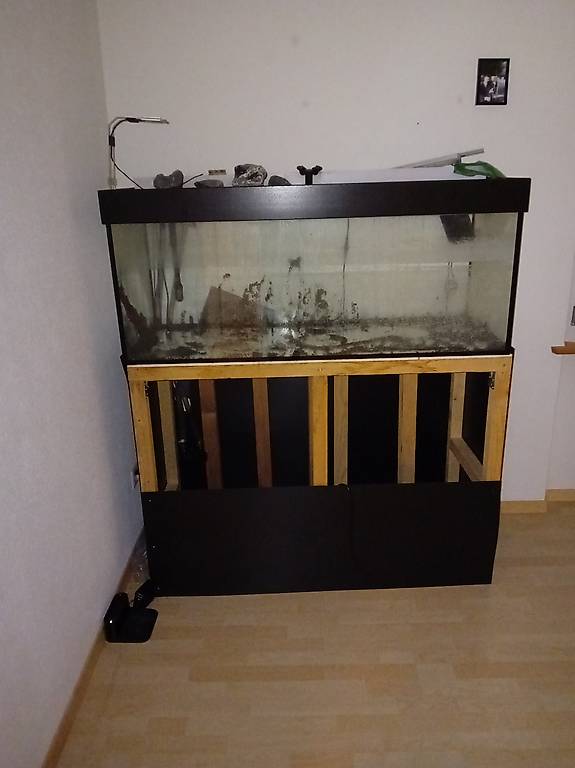 Aquarium Im Kanton Thurgau Tutti Ch