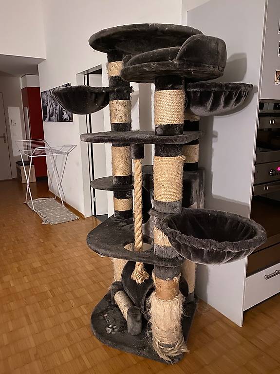 Kratzbaum pet homes, gebraucht im Kanton Zrich - tutti.ch