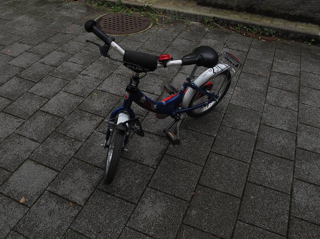 schlauchreifen für rennrad Vittoria Rally Schlauchreifen 700 Rennrad pannensicher