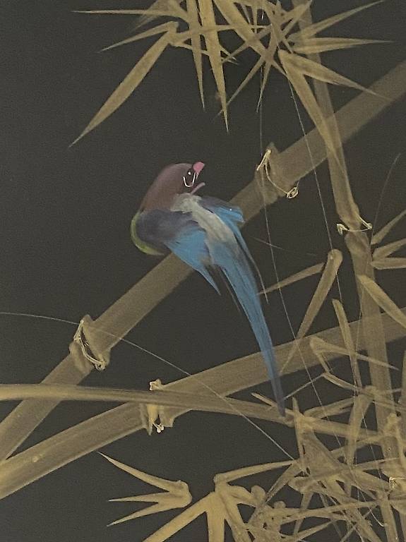Asiatischer Kunstdruck A4: Roter Vogel Auf Bambus – Tuschemalerei Poster