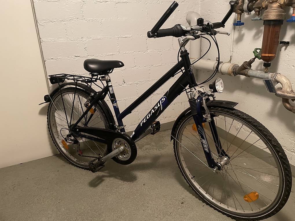Kinderfahrrad Pegasus im Kanton Schaffhausen - tutti.ch