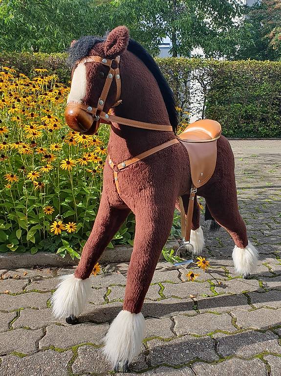 Reitpferd, Pferd zum Reiten im Kanton Basel-Stadt - tutti.ch