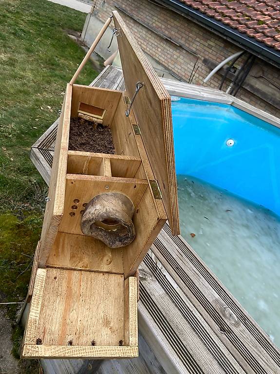 Nistkasten für Steinkauz, Eule im Kanton Bern tutti.ch
