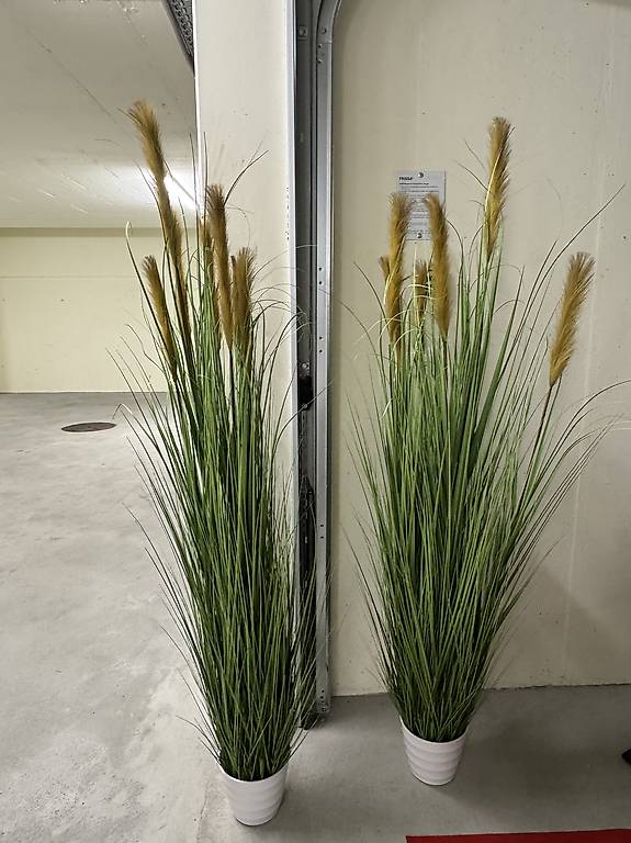 2x Kunstpflanzen 180cm hoch NEU im Kanton Luzern - tutti.ch