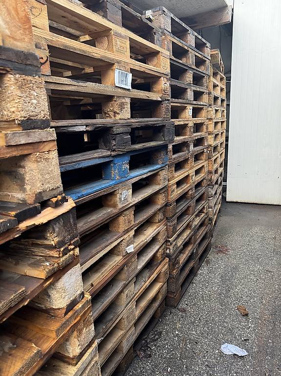 Palette EPAL bancali Holzpalette Paletten im Kanton Tessin - tutti.ch