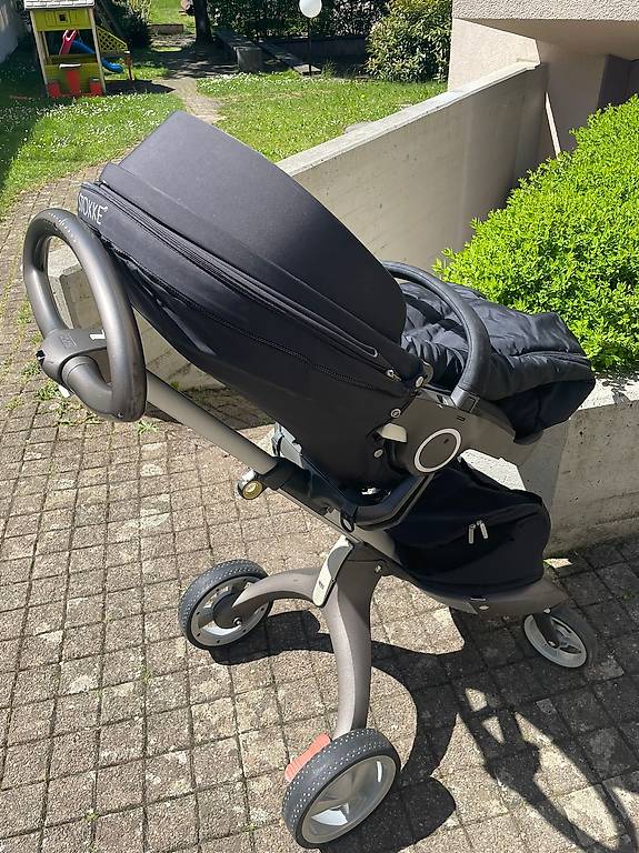 dnger bambus pflanzen Bambus Dnger Flora Boost fr gesunde und prchtige Bambuspflanzen