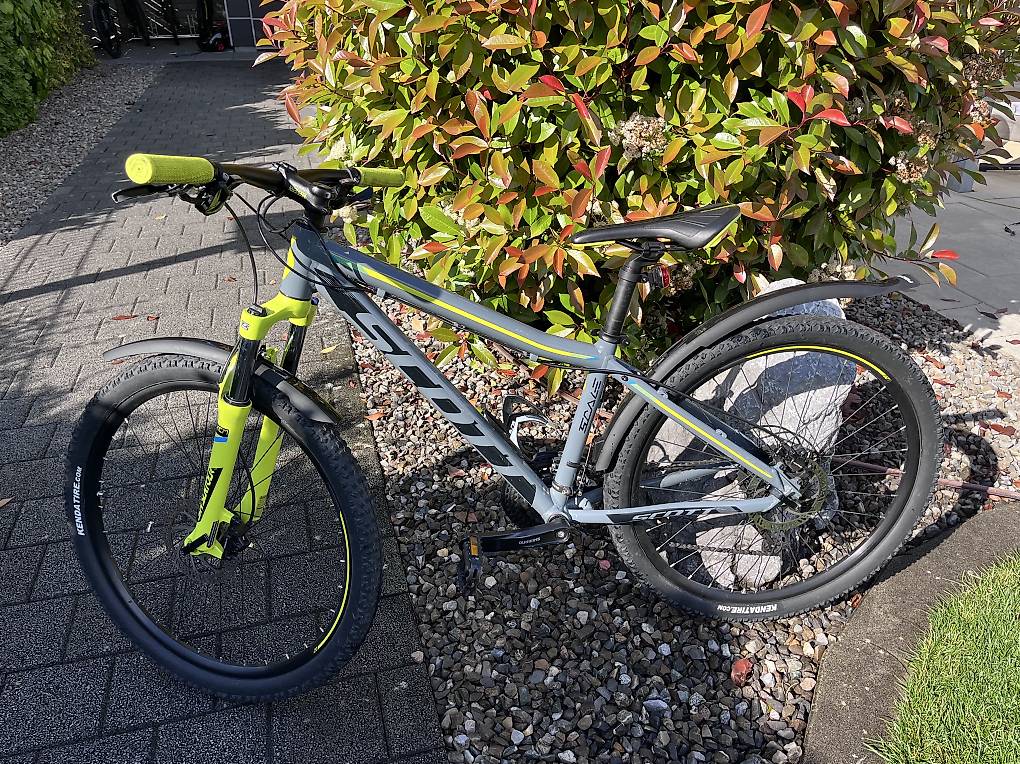 test bachtenkirch kinderfahrrad Bachtenkirch LittleDax TRACY fuchsia: Das freche Kinder-MTB