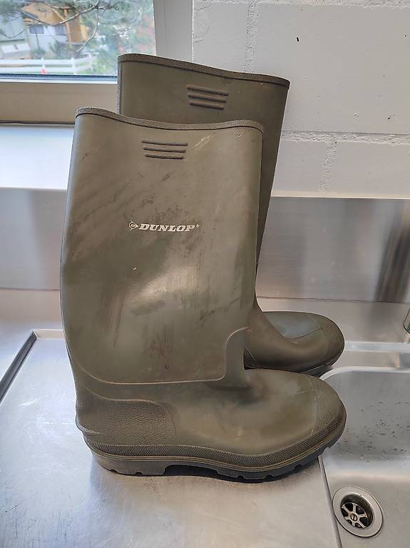 Gummistiefel Dunlop 43 Worker 40 im Kanton Solothurn