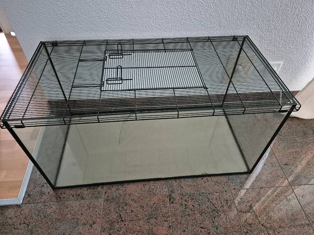 Terrarium F R Nagetiere Im Kanton St Gallen Tutti Ch