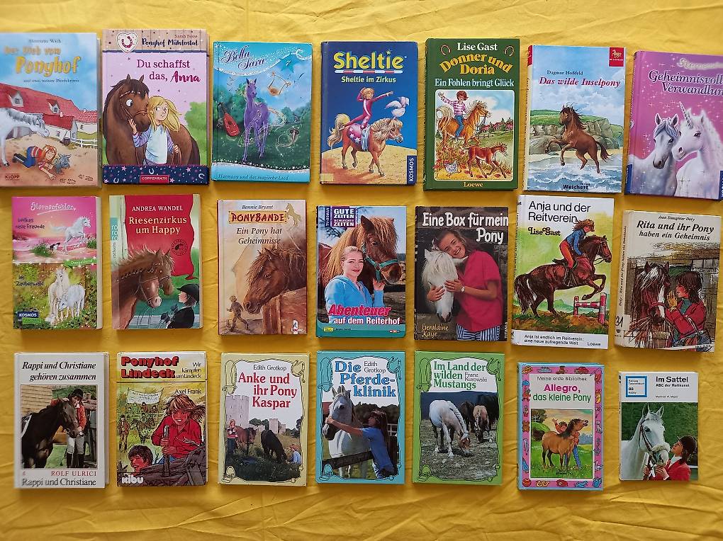 62 Pferdebücher Pony Club Kinderbücher Pferdegeschichten im Kanton