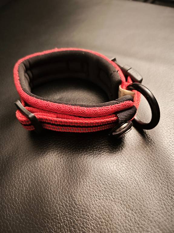 Dogs Creek Halsband fr kleine Hunde im Kanton Nidwalden - tutti.ch