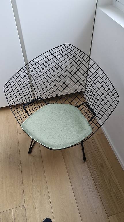 Cuscino per Bertoia Diamond Knoll im Kanton Tessin
