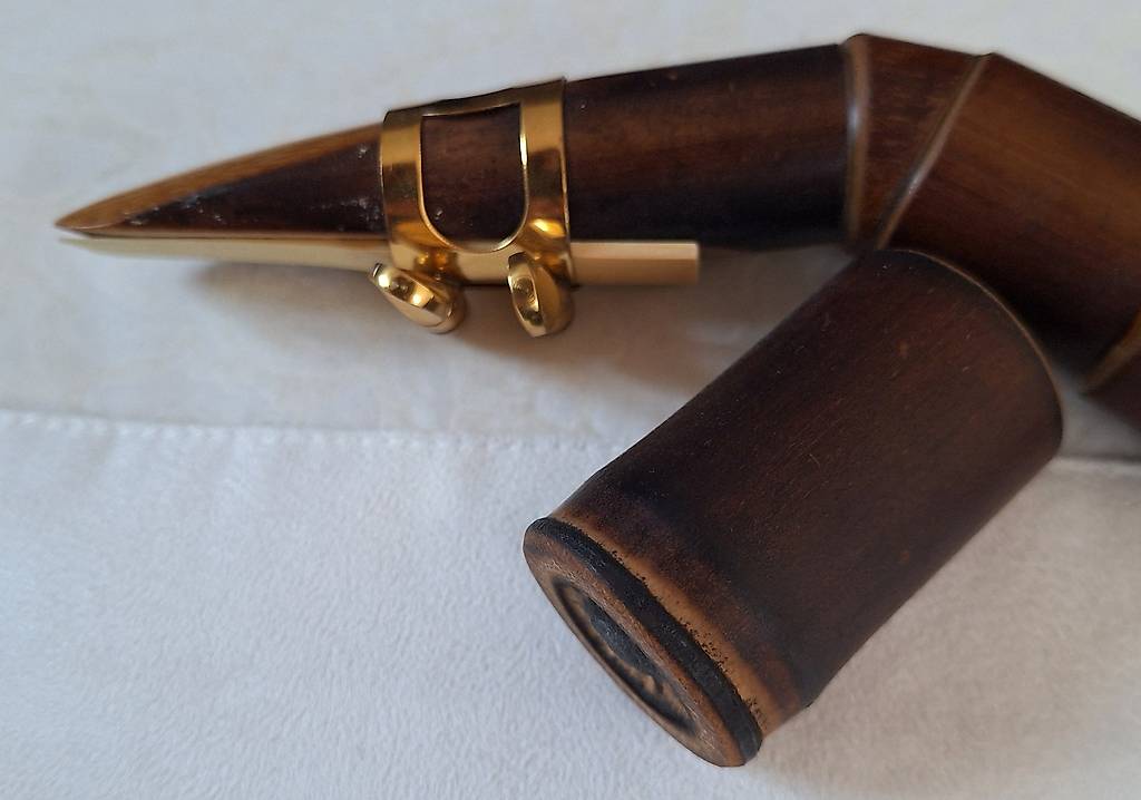 Bambus Saxophon Cantone Zurigo - tutti.ch