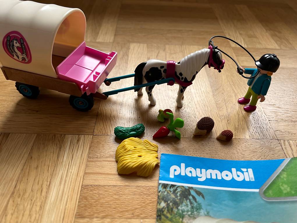 PLAYMOBIL Ponykutsche – Spielset Mit 35 Teilen, Für Kinder Ab 4 Jahren