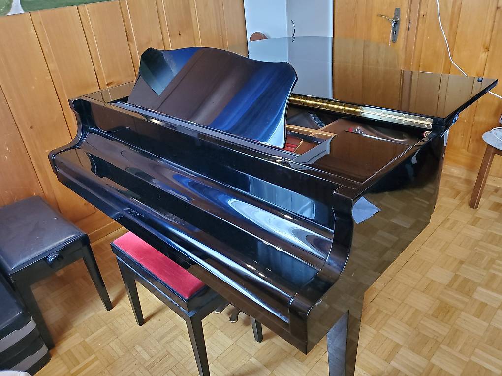 Klassische Flügel Kaufen In Berlin - Klavierhaus Köpenick
