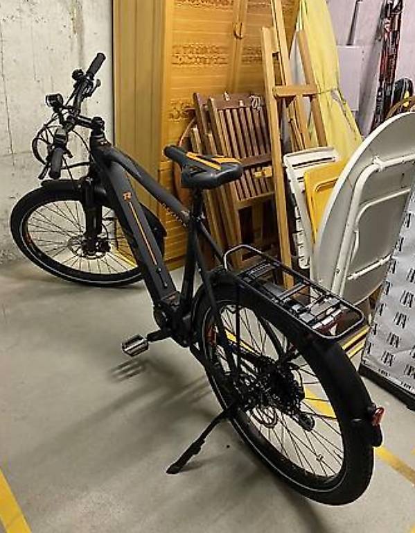 Chargeur Pour Vélo électrique RAYMON TourRay LTD 1.0, 42V 4A, Neuf Sous Emballage