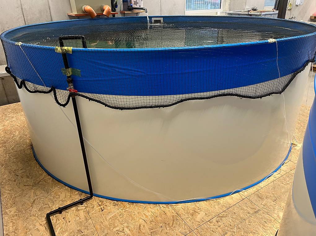 Pool/ Quarantänebecken/ Rundbecken im Kanton St. Gallen