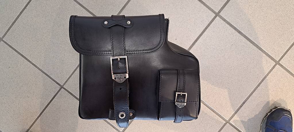 Borsa Harley Davidson Im Kanton Tessin Tutti Ch