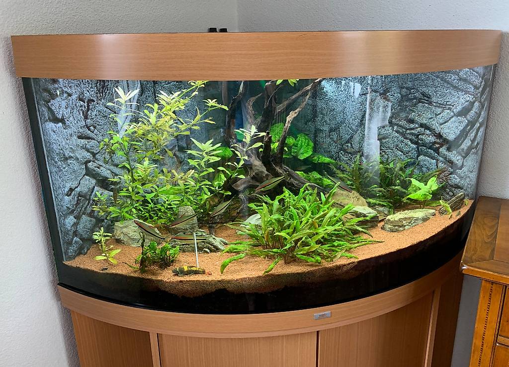 Eck-Aquarium Juwel 350l mit Zubehör popular