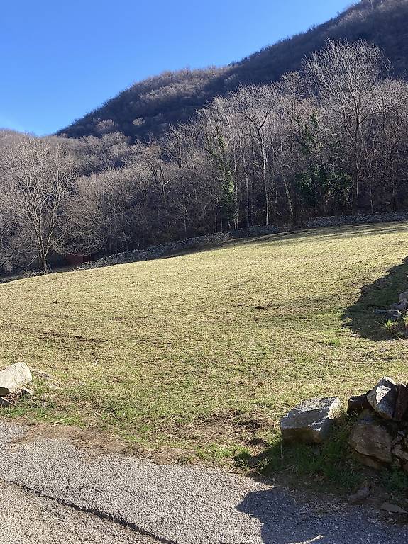 Pulizia Giardini Boschi Terreni Incolti Cantone Ticino Tutti Ch