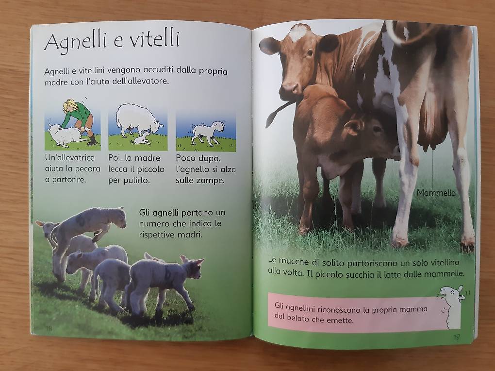 Libri Per Bambini Cantone Ticino Tutti Ch