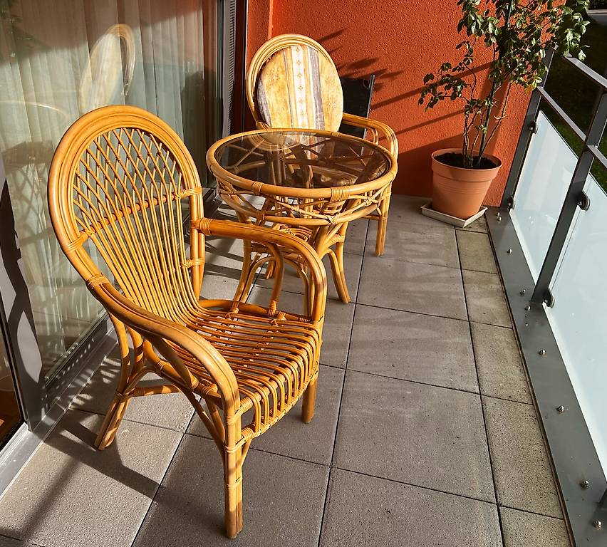 bananenpflanze kaufen berlin Bananenpflanze XL | 110cm | Online kaufen main image 0