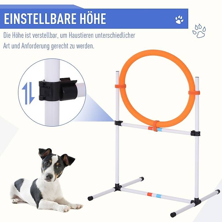 LZQ Agility Ausrüstungs Set Für Hunde, Hürde Tun Produktbild-Vorschau 8