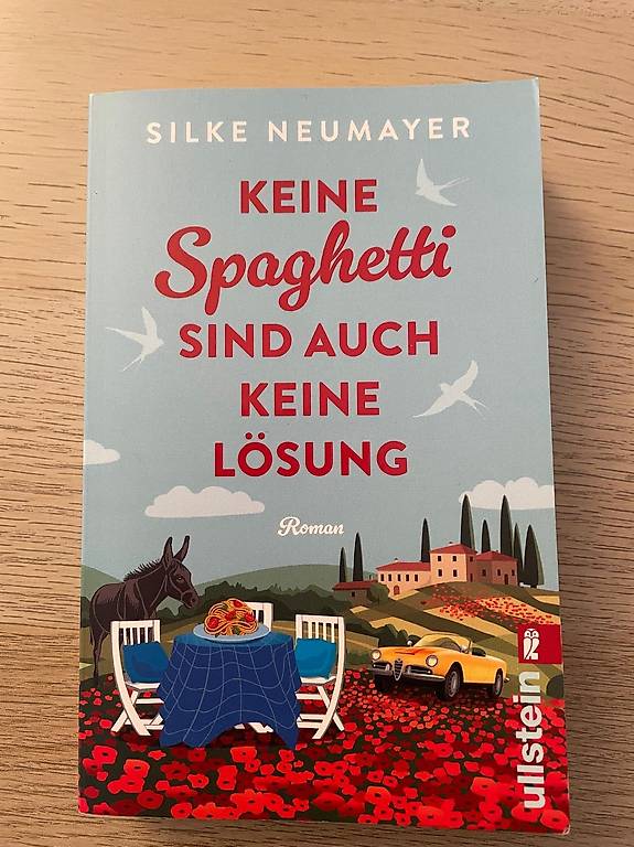 Keine Spaghetti sind auch keine Lösung von Silke Neumayer im Kanton