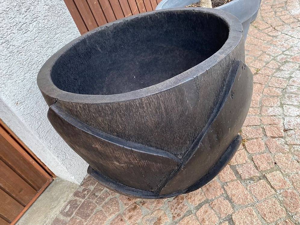 Lotus Teichrose Seerose Teich Palmen Topf Blumentopf Pflanz im Kanton