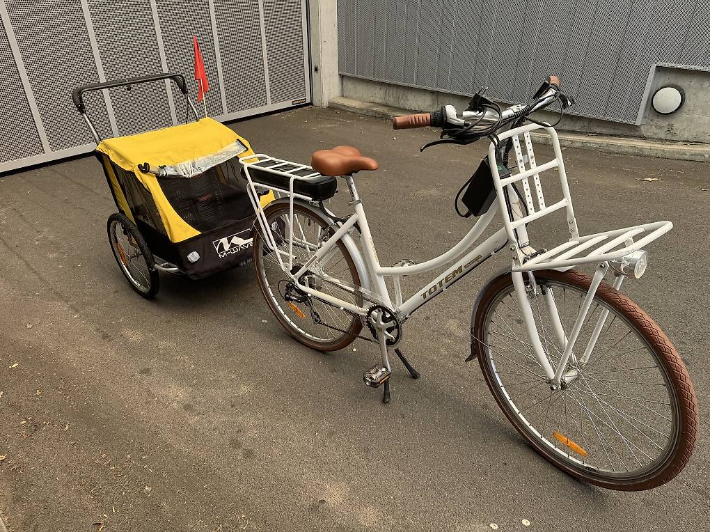 E-Bike Elektrofahrrad mit Kinder Fahrradanhnger im Kanton Aargau - tutti.ch