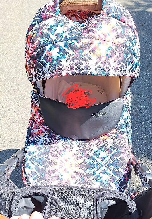 Kinderwagen zu Verschenken im Kanton Luzern - tutti.ch
