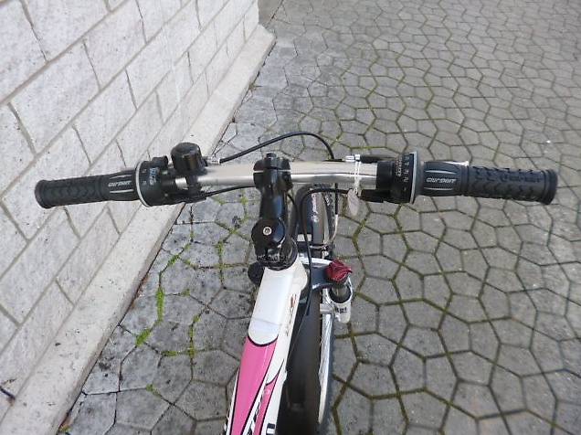 24 ZOLL SPECIALIZED BIKE IN TOP ZUSTAND Im Kanton Luzern Tutti Ch