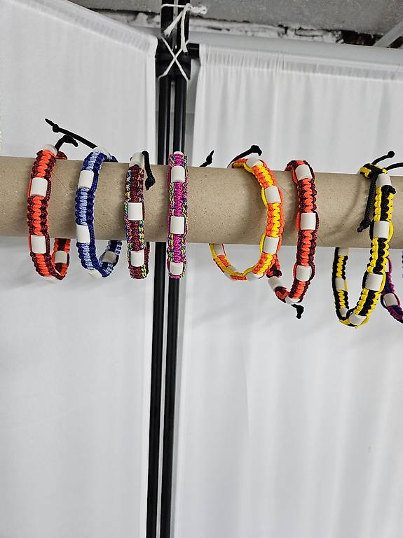 Anti Zecken Halsband mit EM-Keramik im Kanton Basel-Landschaft - tutti.ch