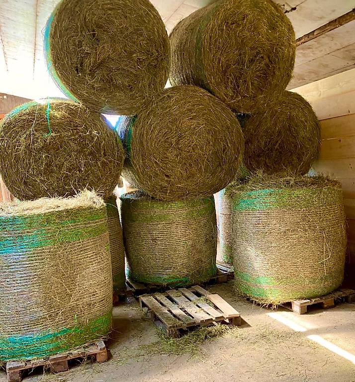 Wie Viel Kilo Hat Ein Rundballen Heu Rundballen Heu bringe nach Basel im Kanton Basel-Stadt - tutti.ch