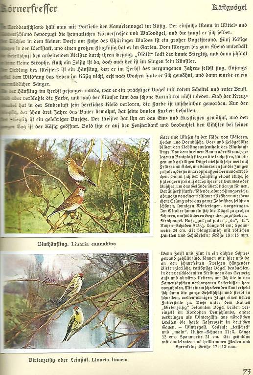 Aus Deutschlands Vogelwelt 1936 in Bern kaufen - tutti.ch