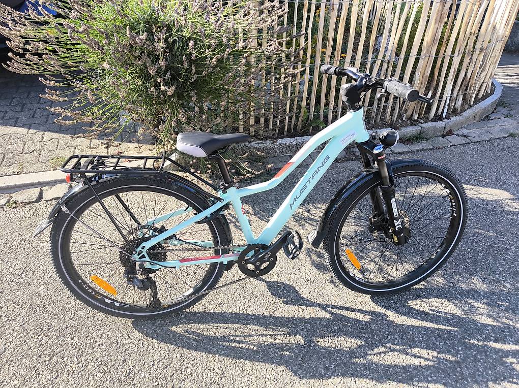 lackschutzfolie mountainbike Diawell Fahrrad Kettenstreben Aufkleber Schutzfolie Rahmenschutz Rahmen Schutz Folie Lackschutz MTB BMX Kette Carbon Sport & Freizeit Crankset Option (Length - Teeth):160mm / 32t Oakley Flight Deck Oakley goodgift