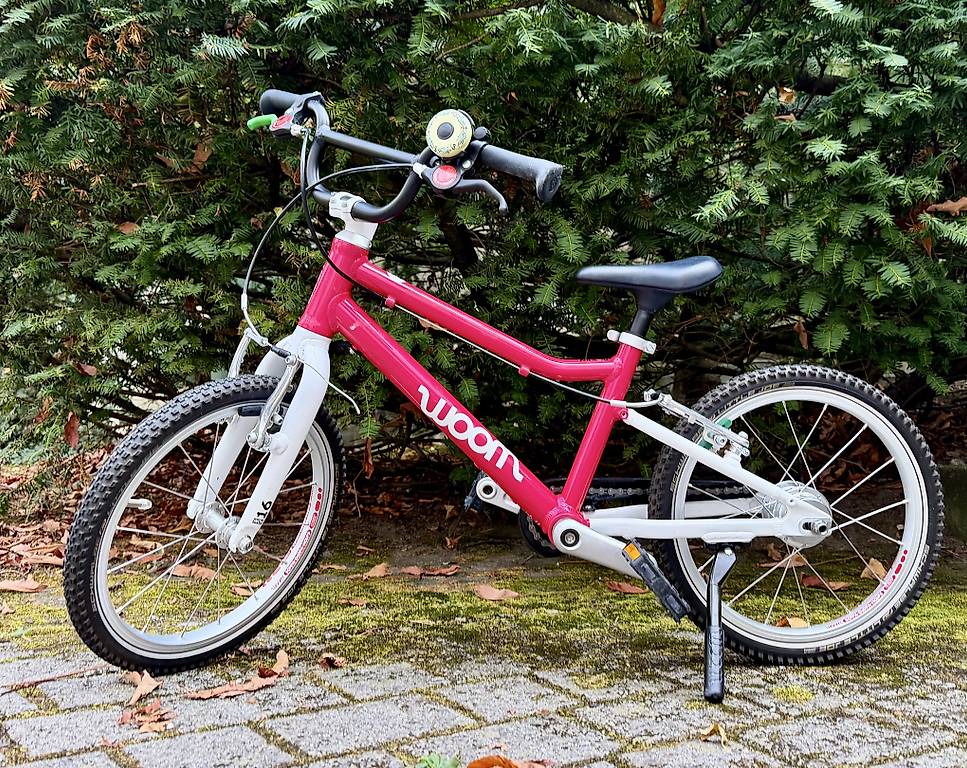 falter kinderfahrrad test FX 120 Purple Farbe:Creme Rot Marienbike E-Bike Verleih Berchtesgaden Custom Button Pins