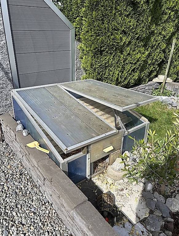 2 Schildkröten inkl. Gewächshaus & Gehege aus Stein im Kanton Aargau
