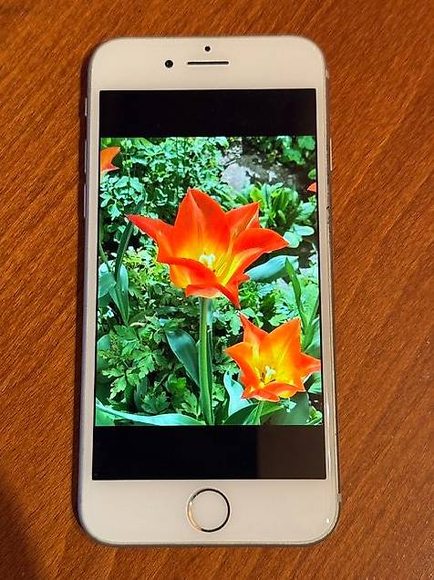 iPhone 8 64 GB im Kanton Zug - tutti.ch