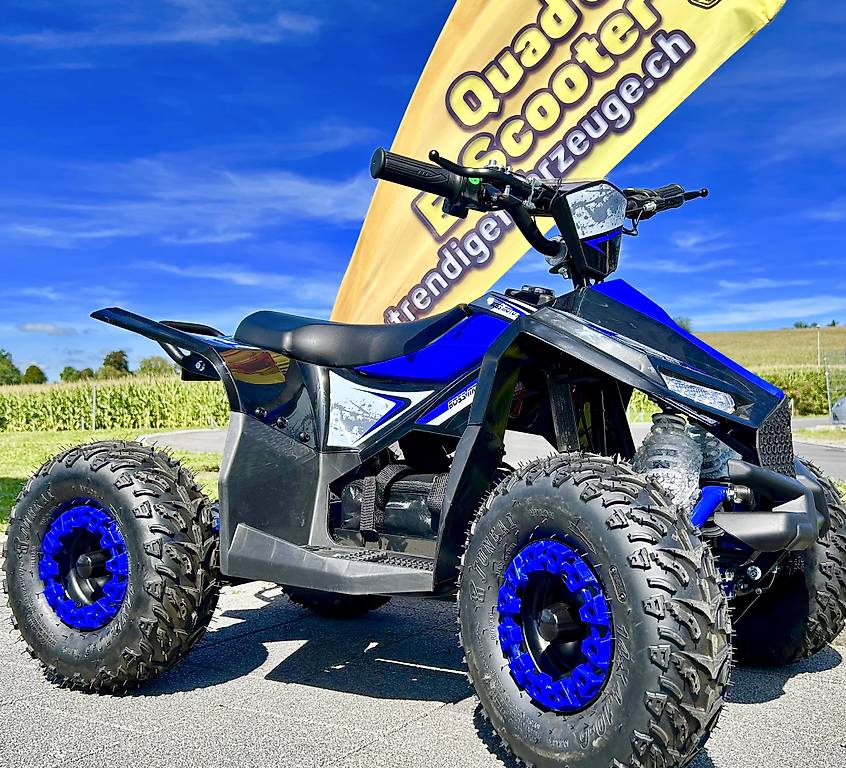 Batterie Mini ATV Quad 1000 Renegade , Akku, 36V Aktion im Kanton — free download