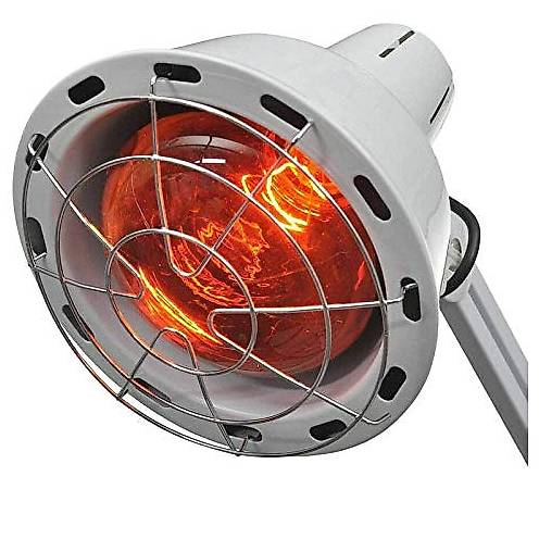 Infrarotlampe mit Ständer Cantone San Gallo tutti.ch
