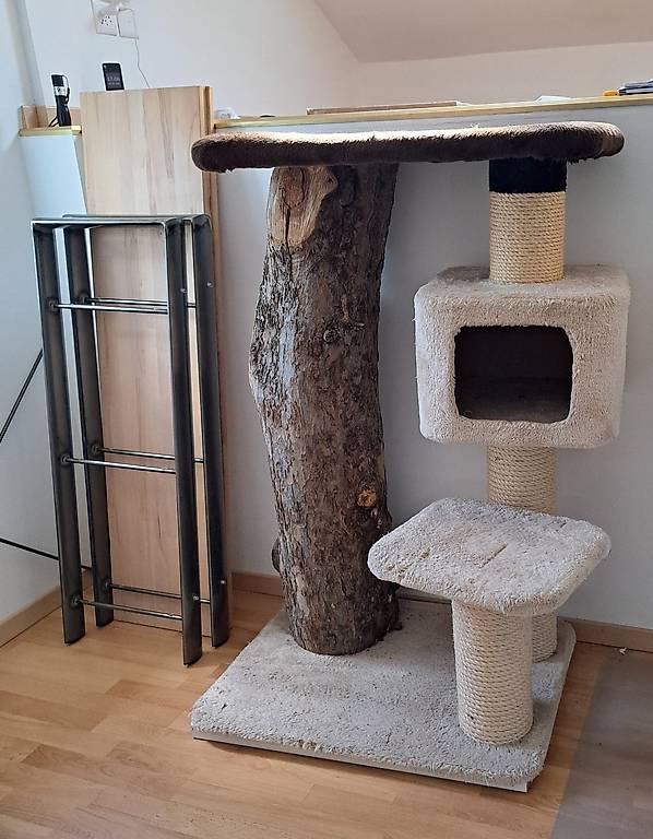 Kratzbaum auch fr grosse Katzen massiv uns Stabil im Kanton Thurgau -  tutti.ch