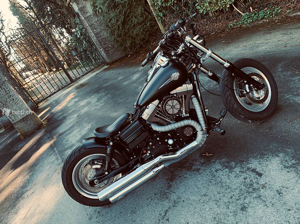 Harley-Davidson Custom 1250: Kleine Harley für 2021 