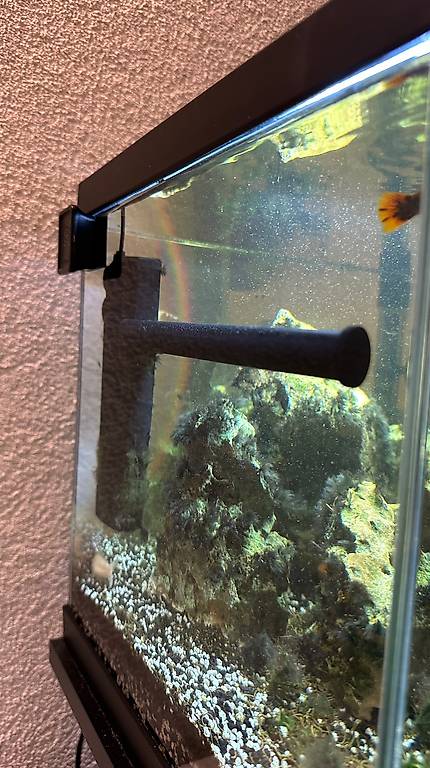Vendo acquario da 60 litri Cantone Ticino - tutti.ch