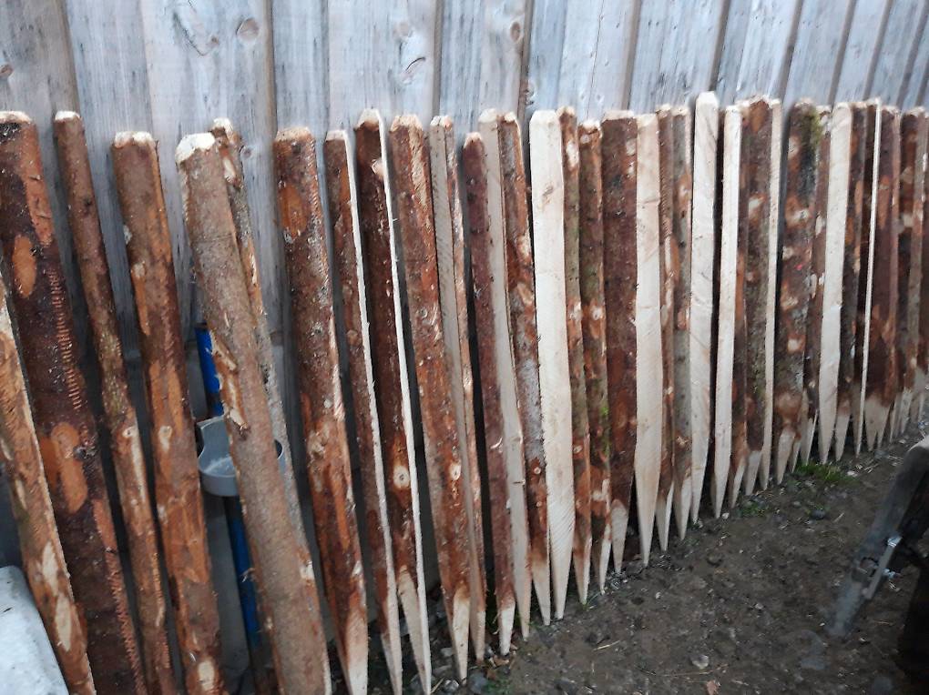 Holzpfahl, Pflock, Stickel, Mast, Pfosten, Zaun, Stuud Canton Schwytz