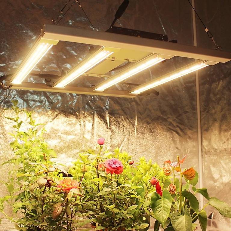 Demiawaking Pflanzenlampe E27 Vollspektrum LED – 58W, Für Gemüse, Blumen & Hydrokultur