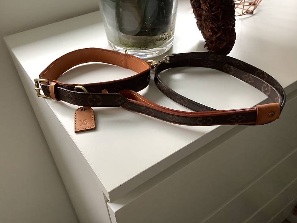 Leine/ Halsband Louis Vuitton Canvas Orginal LV im Kanton Zrich - tutti.ch