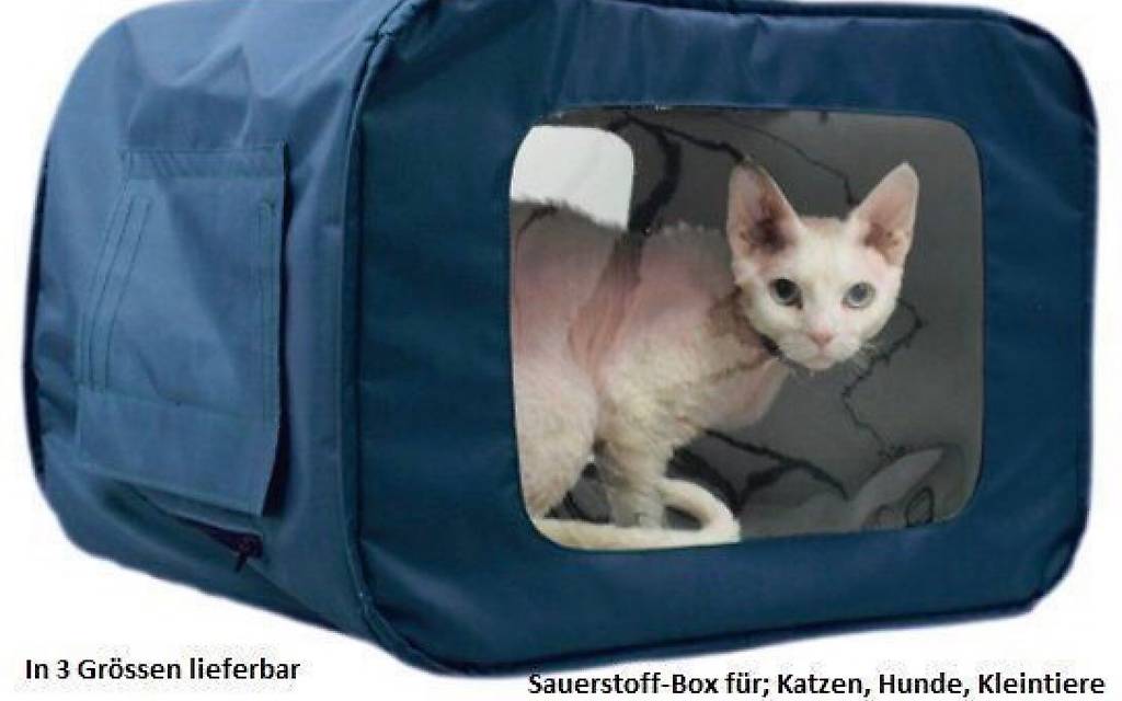 GRAVURE CONCEPT Grabschild Für Tiere - Personalisierbare PVC Stele Für Hund & Katze - 15x25cm Wetterfest