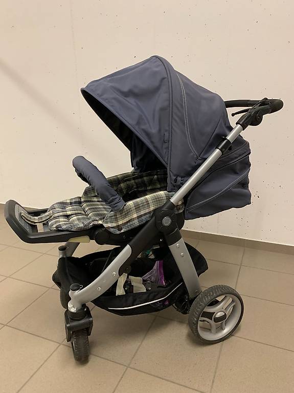 freiland azaleen düngen Purgrün Azaleen-Dünger 1 Liter