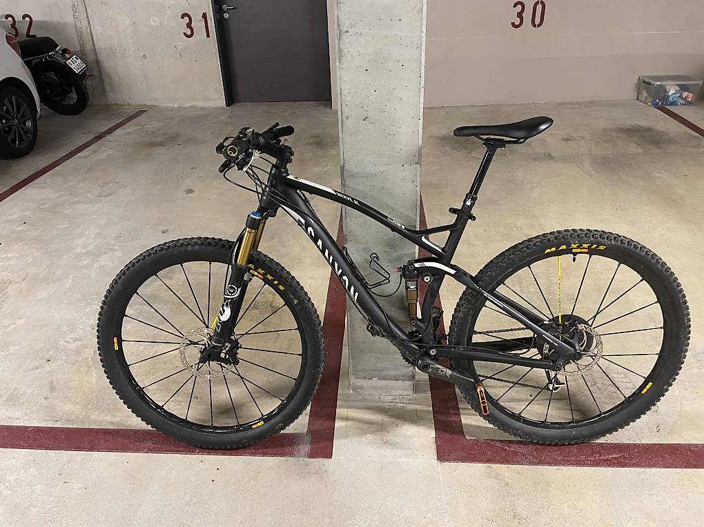 Canyon Nerve AL SL im Kanton Aargau